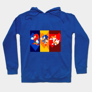 The sonic crew Hoodie